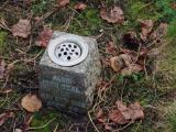 image of grave number 954518